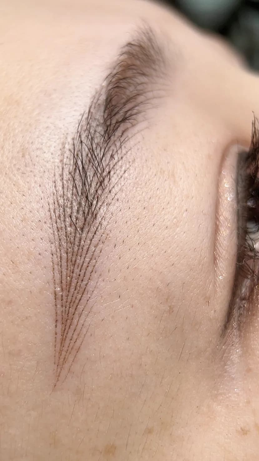 Hairstroke brow detail