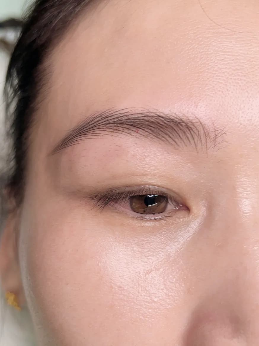 Soft, natural Permanent Makeup brows