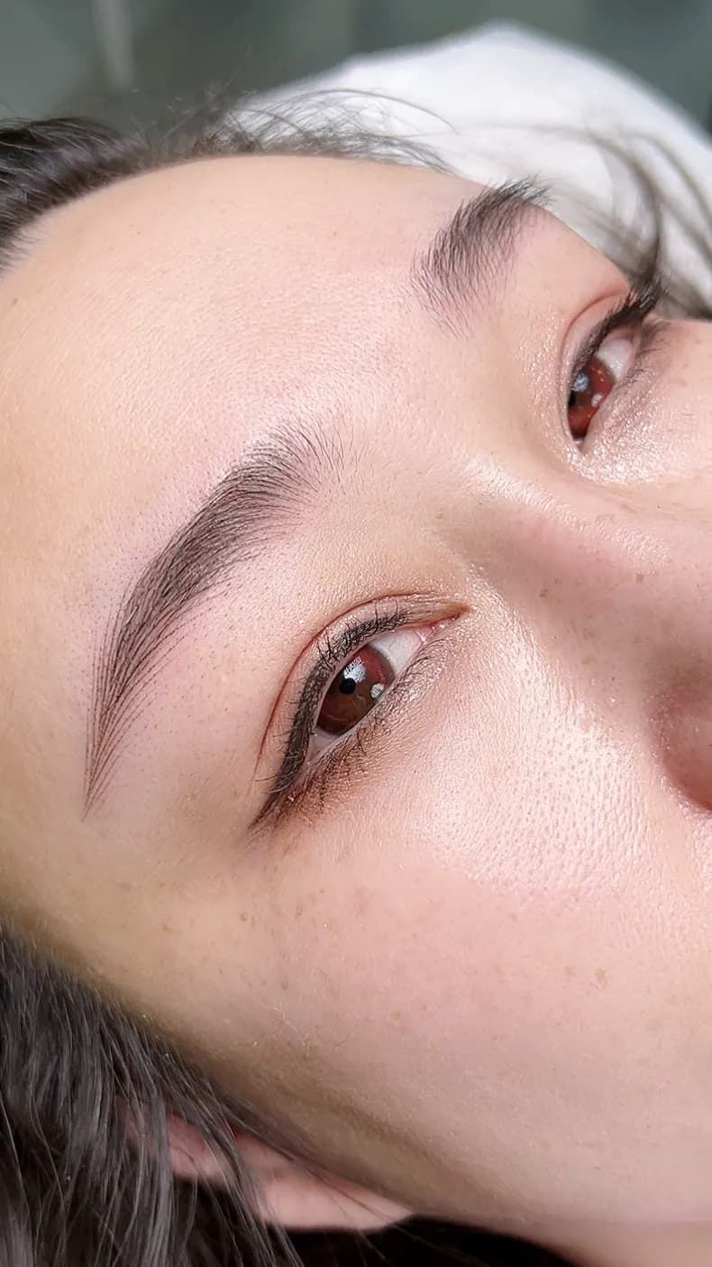 Permanent Makeup brows result