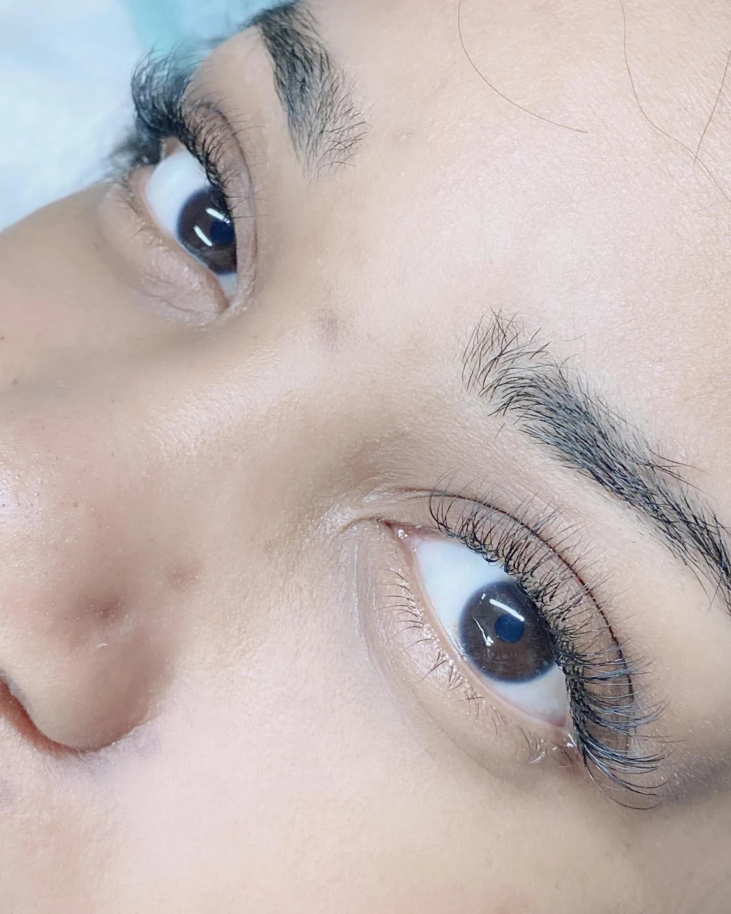 Japanese Soft Volume Lashes
